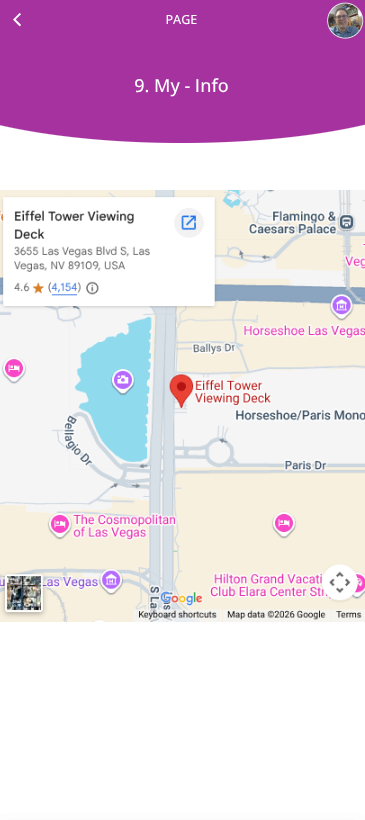 common-blocks-google-map-sample-phone.png