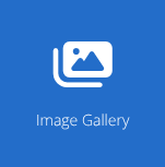 image-gallery-common-block.png